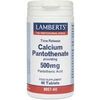 Lamberts Calcium Pantothenate 500mg Time Release 8057-60